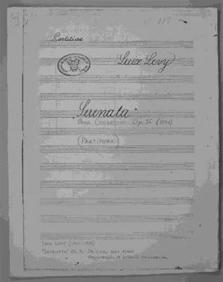 La Serenata Op. 16: Un trionfo di armonie eleganti e melodie sognanti che ti accompagneranno verso un giardino musicale incantato